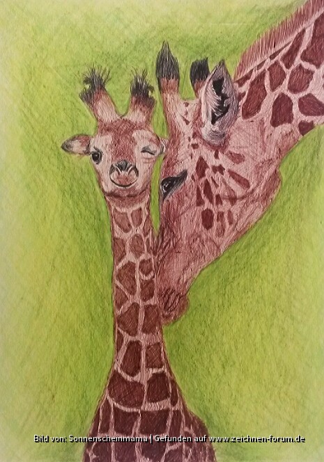 Giraffen für Eileen