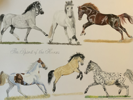 The Spirit of the Horses