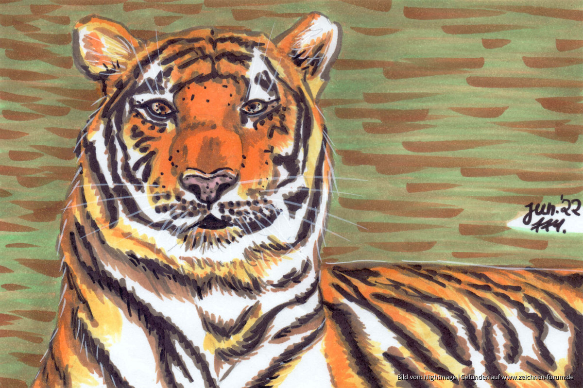 Tiger mit Promarkern gemalt