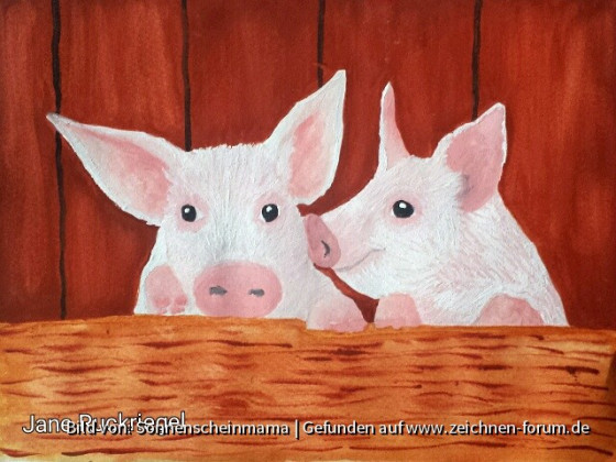 Schweinchen im Stall