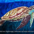 Meeresschildkröte mit Markern