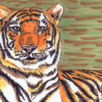 Tiger mit Promarkern gemalt