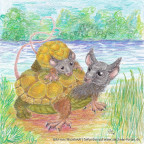 Schildkröten-Maus-Ohreule